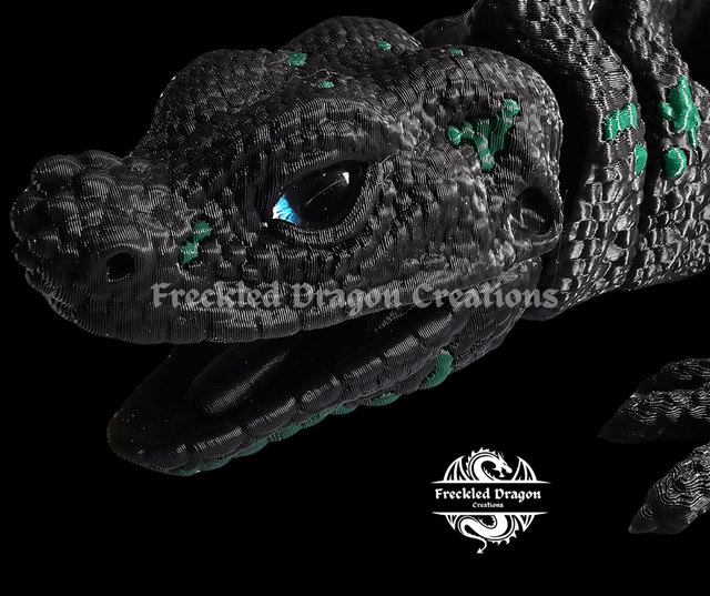 Large Sailfin Dragons (Hydrosaurus)