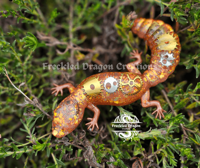 Geckos