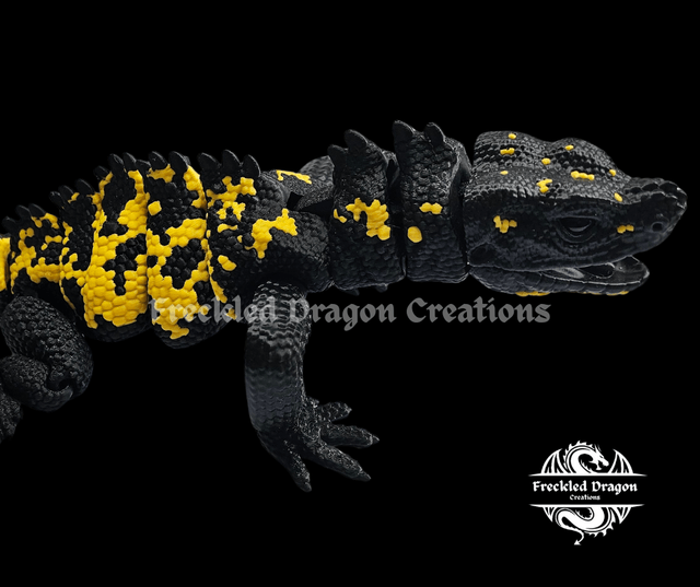 Large Sailfin Dragons (Hydrosaurus)