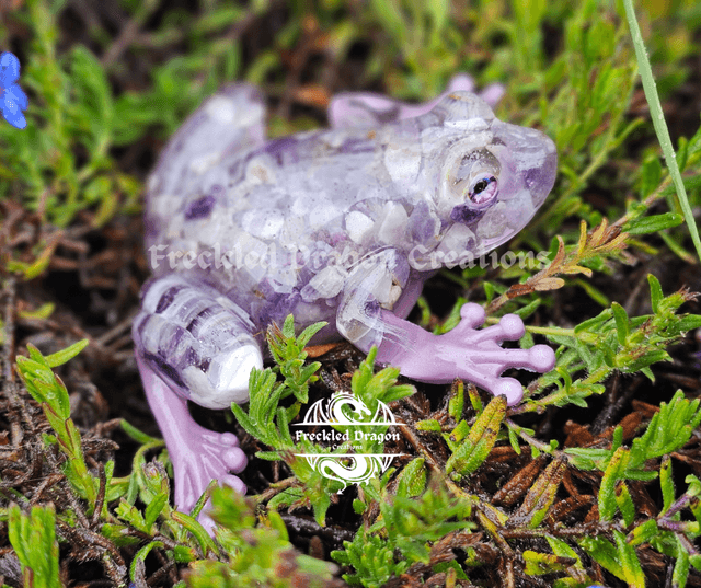 Frogs