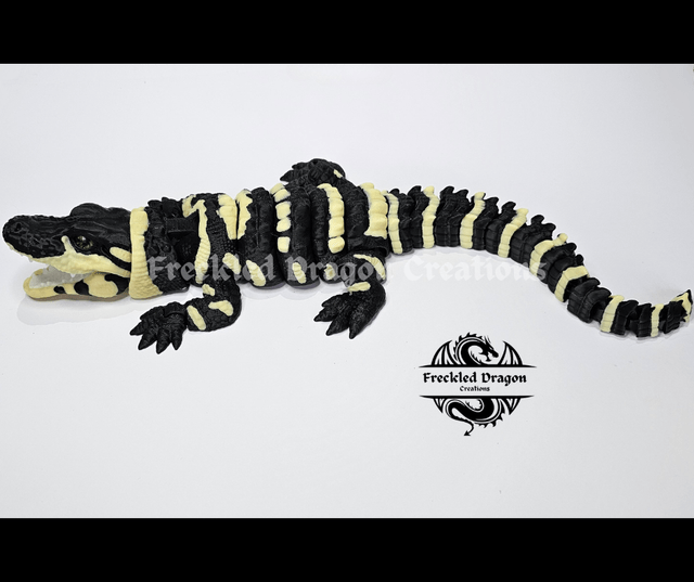 Baby Alligators