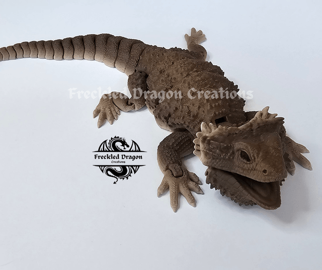 Bearded Dragons