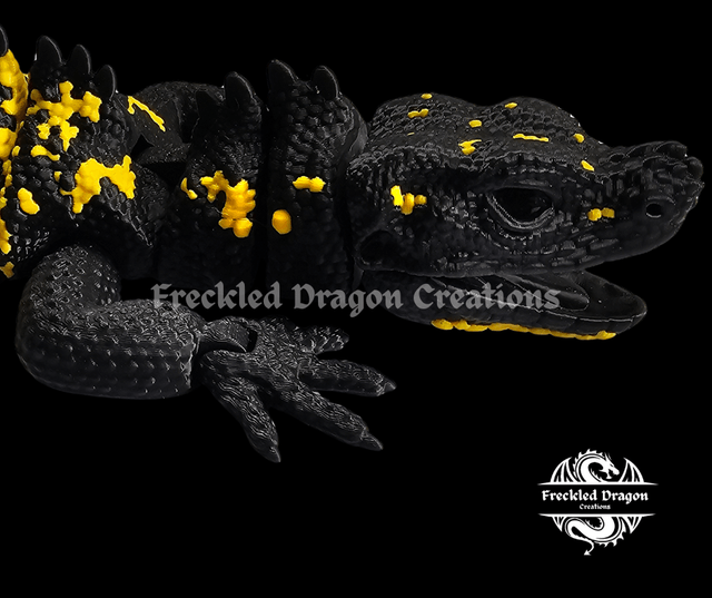 Large Sailfin Dragons (Hydrosaurus)