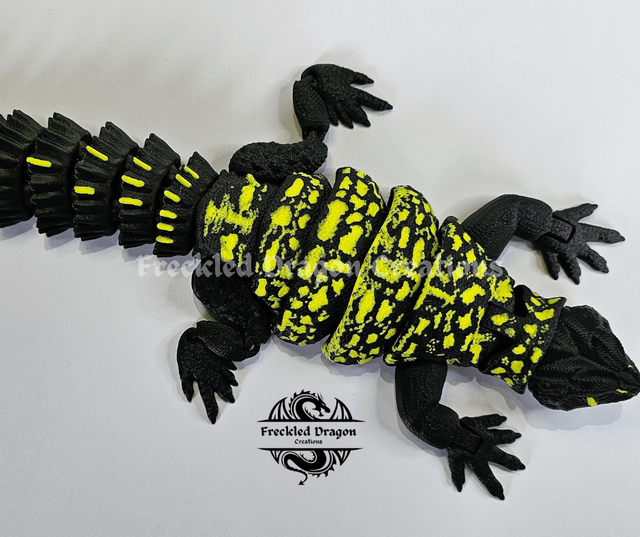 Uromastyx Lizard