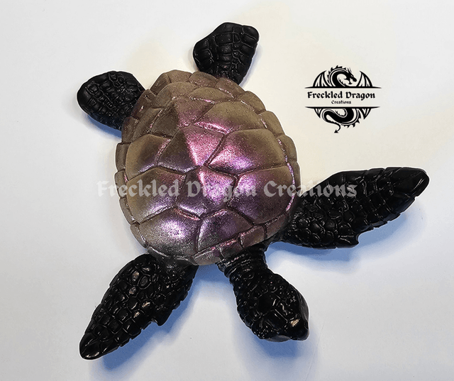 Sea Turtles