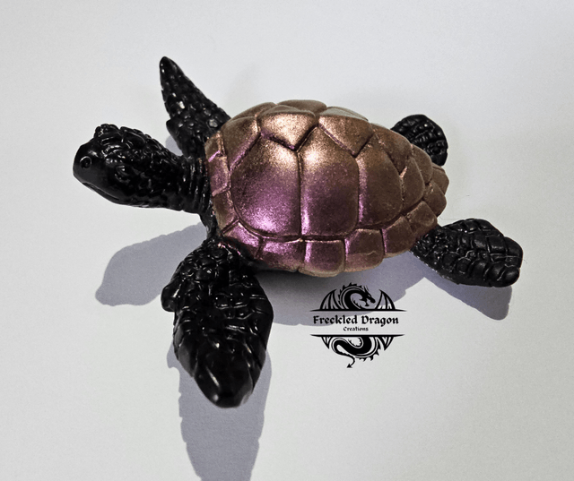 Sea Turtles