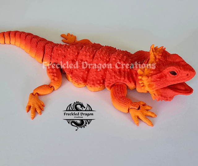 Bearded Dragons