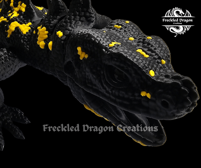 Large Sailfin Dragons (Hydrosaurus)
