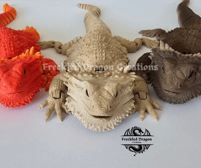 Bearded Dragons