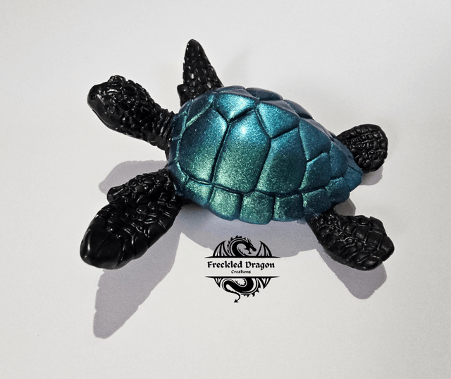 Sea Turtles