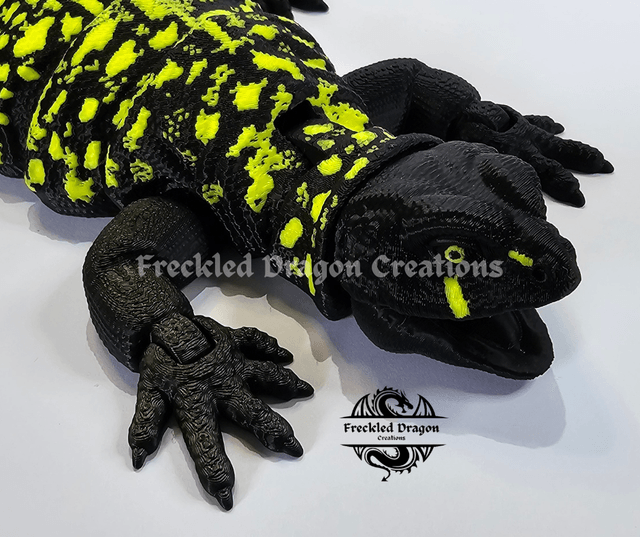 Uromastyx Lizard