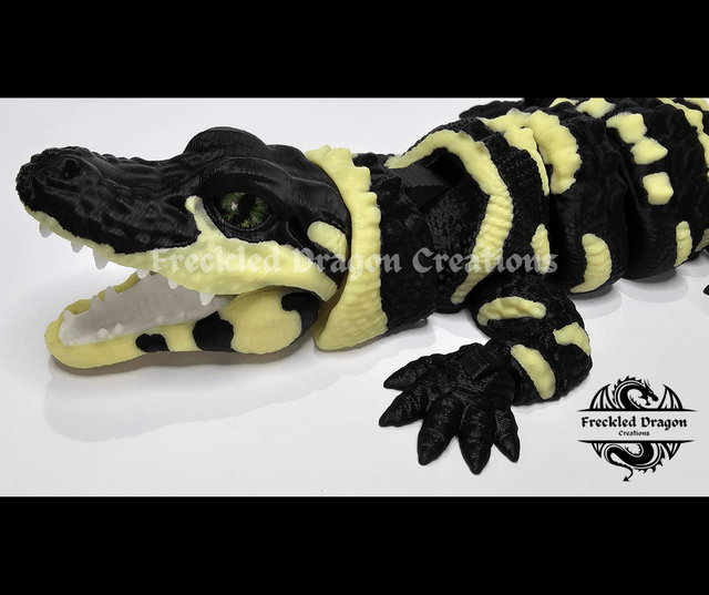 Baby Alligators