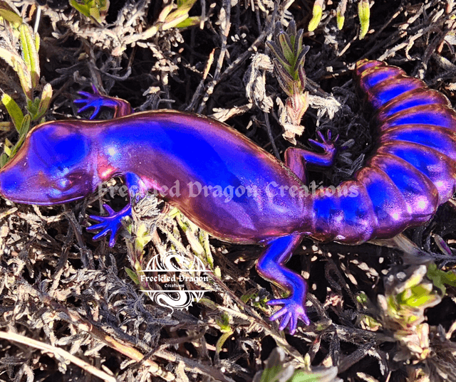 Geckos