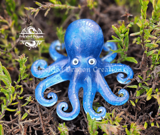 Octopus