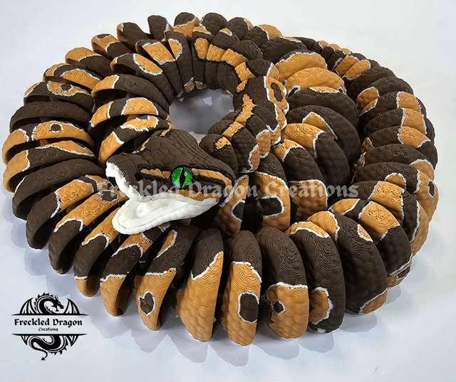Ball Python