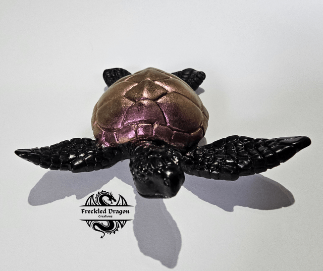 Sea Turtles