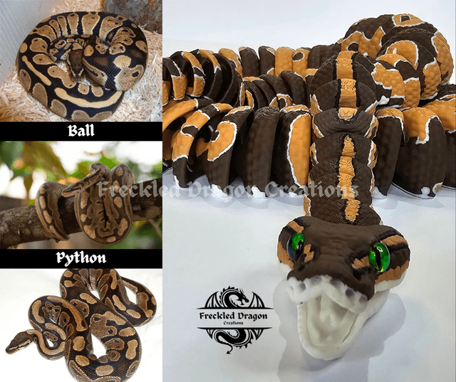 Ball Python