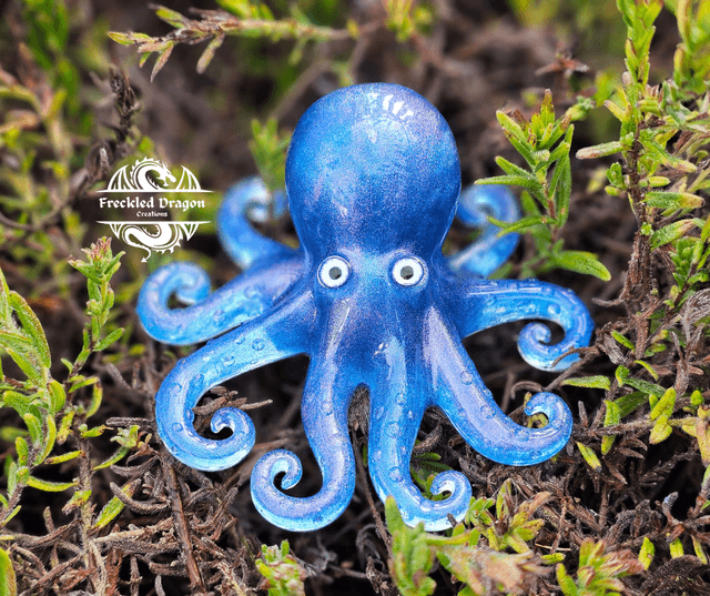 Octopus