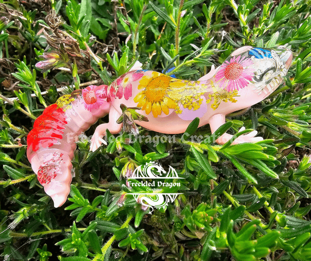 Geckos