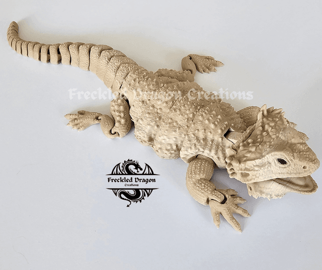 Bearded Dragons